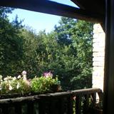 zoom photo