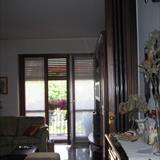 zoom photo