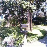 zoom photo