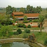 zoom photo