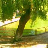 zoom photo