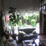 zoom photo