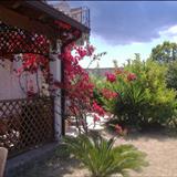 zoom photo