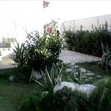 zoom photo