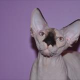zoom photo