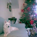 zoom photo