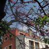 zoom photo