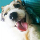 zoom photo