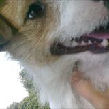zoom photo