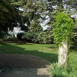 zoom photo