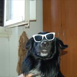 zoom photo