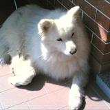 zoom photo