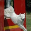 zoom photo