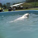 zoom photo