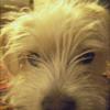 zoom photo