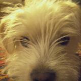 zoom photo
